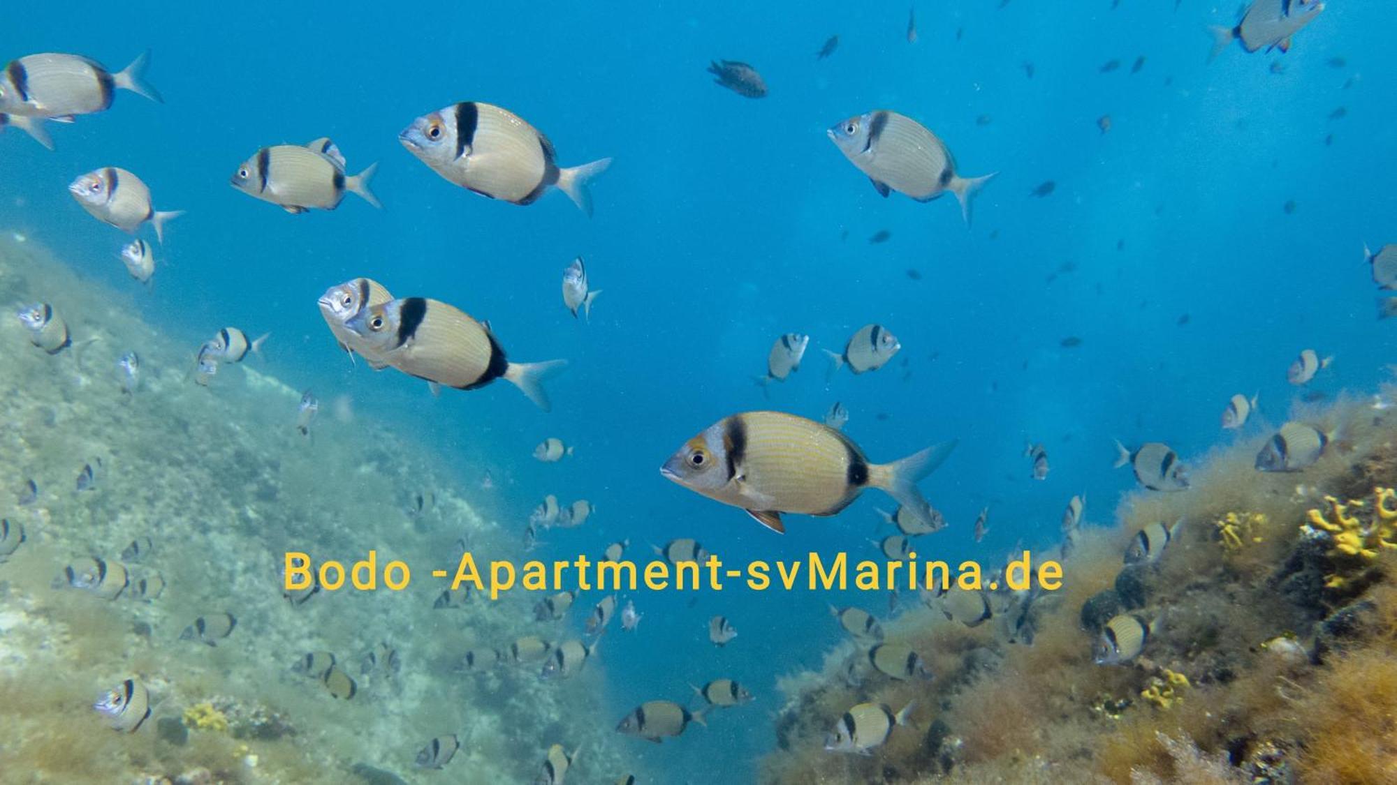 Bodo Apartment Labin  Bagian luar foto